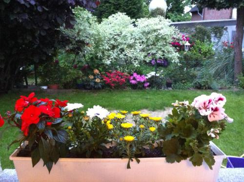 a flower garden with colorful flowers in a yard at Traumhaftes Apartment in Mönchengladbach Ohler in Mönchengladbach