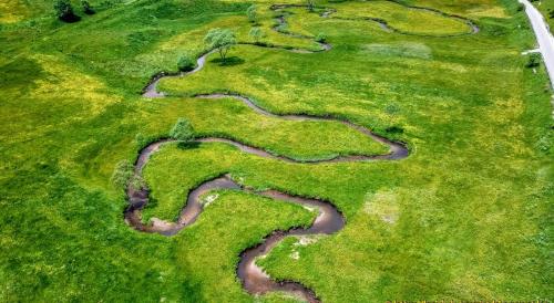 an aerial view of a grassy field with winding pathways at Къща за гости "Орлец" in Popovo