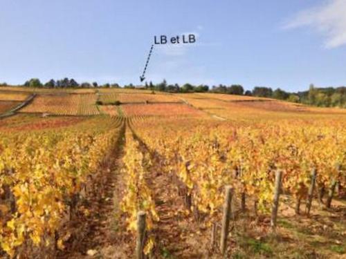 LB et LB – Foto 4