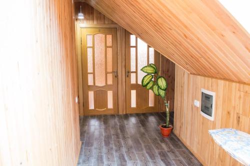 a hallway of a house with a door and a potted plant at Home Hotel in Kamianets-Podilskyi
