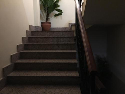 a stairway with a potted plant on the wall at Hostal Mesón Arboleas in Arboleas