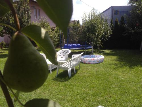 Hồ bơi trong/gần Elite Apartment Jasmina