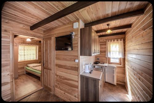 a small kitchen in a log cabin with a television at Domki u Bejdaka 789- 039 - 689 in Bereżnica Wyżna