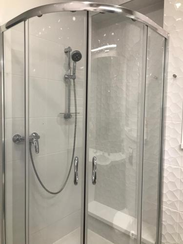 スヴェトロゴルスクにあるApartment Rauschenのバスルーム(ガラスドア付きのシャワー付)