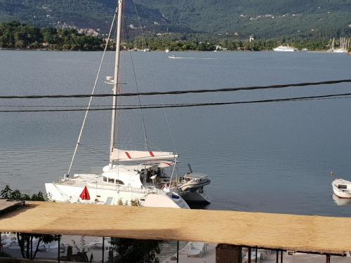 a white sailboat docked in a body of water at Apartments Klakor PS in Tivat