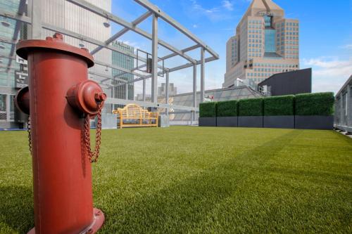 a red fire hydrant sitting in a field of grass at Etage Executive Living in Pittsburgh