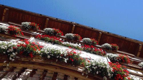 a bunch of flowers on the side of a building at Landgasthof Dorferwirt in Oberau
