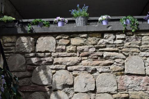 Edinburgh37 photo 47