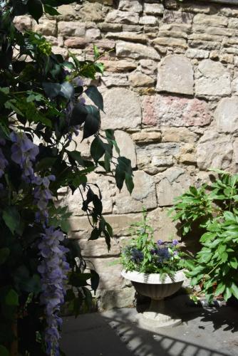 a stone wall with a pot of flowers and a plant at Edinburgh37 in Edinburgh
