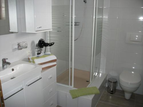 a bathroom with a shower and a sink and a toilet at Haus Alpenrose in Schwangau