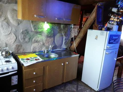 Cabañas Laukan في سان أوغيستين دي فالي فيرتيل: مطبخ صغير مزود بحوض ومبرد