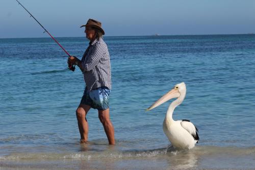 a man standing in the water holding a fishing rod at Ceduna Foreshore Caravan Park in Ceduna