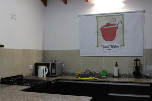 a kitchen counter with a microwave and a picture on the wall at Casa Crisolito in Merlo