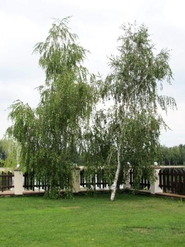 Φωτογραφία από το άλμπουμ του Hotel and Restaurant Complex Lubokray σε Pereyaslav-Khmelʼnytsʼkyy
