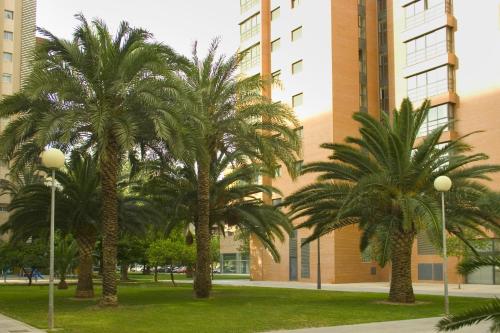 Apartamentos Plaza Picasso photo 52