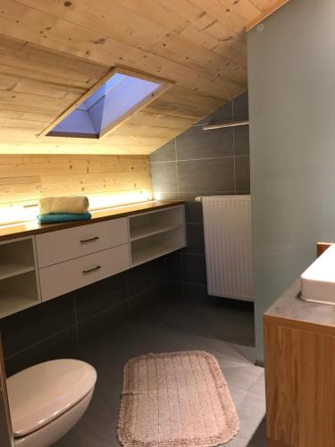 een badkamer met een toilet en een wastafel bij Hotel Maroi in Wald am Arlberg