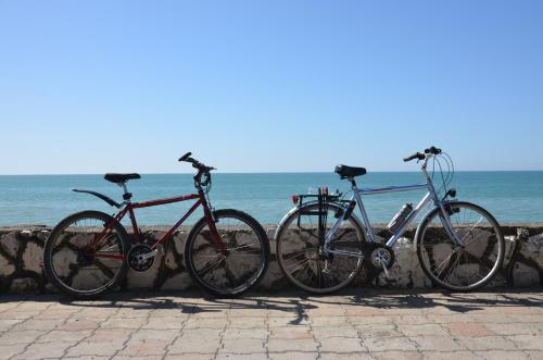 three bikes parked against a stone wall near the ocean at TJ Guest House in Makhinjauri