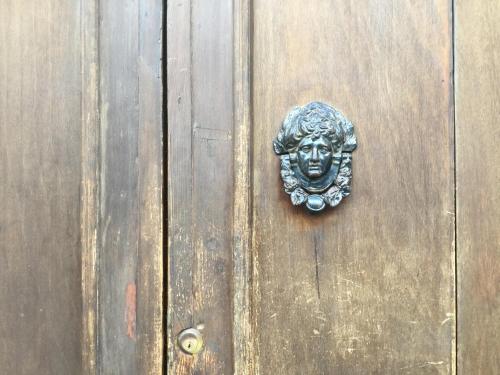 a bronze door knocker on a wooden door at Il ponticello in Ortona