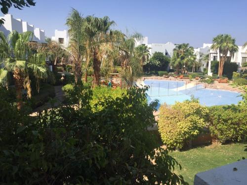 - une vue sur la piscine d'un complexe dans l'établissement Delta Sharm Apartment 156 flat 102, à Charm el-Cheikh