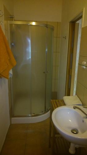 a bathroom with a shower and a sink at Penzion Bližanovy in Plánice