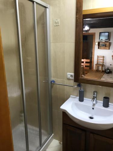 a bathroom with a shower and a sink at Granny's House in Moisei