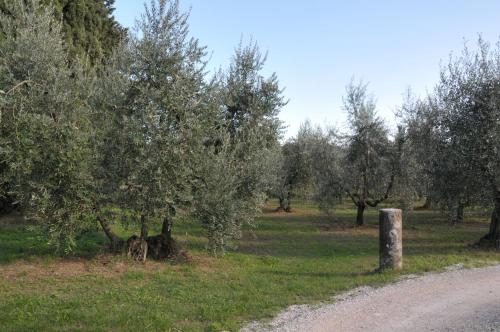 Giardino di Agriturismo San Rocco