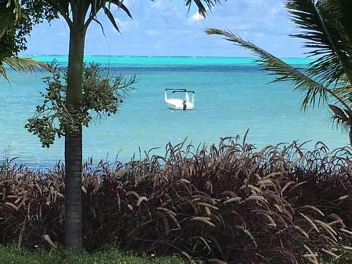a white boat in the water near a palm tree at AZURI Serviced Garden Apartment in Roches Noires