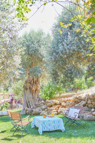 En have udenfor Hotel Rural S'Olivaret & Spa