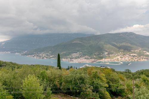 a view of a city and a body of water at Apartments Mitrovic in Lustica