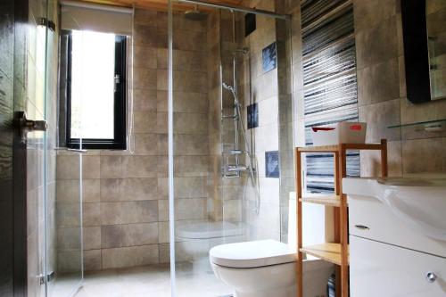 鹿谷的住宿－禾野居 ，带淋浴、卫生间和盥洗盆的浴室