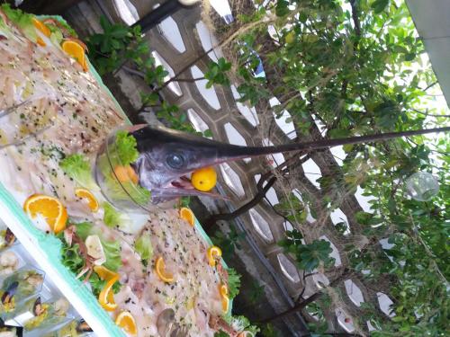 a bird sitting on the side of a table at Hotel Gioiella Depandance in Bellaria-Igea Marina