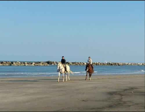 2 persone a cavallo sulla spiaggia di Hotel Gioiella Depandance a Bellaria-Igea Marina