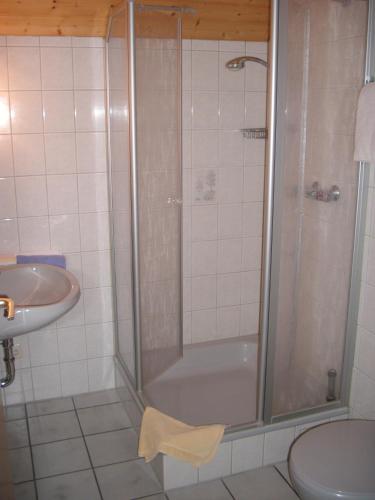 ゾルタウにあるHotel-Pension-Luisenhofのバスルーム(シャワー、シンク付)