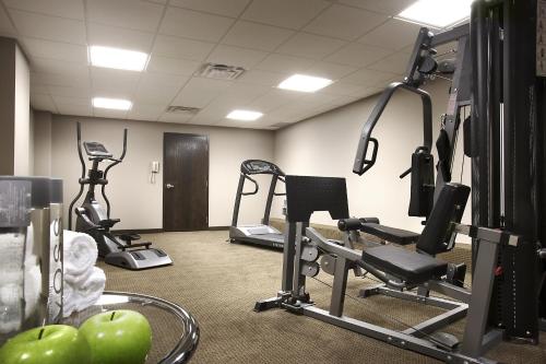 a gym with cardio equipment and apples in a room at Sterling Inn & Spa in Niagara Falls