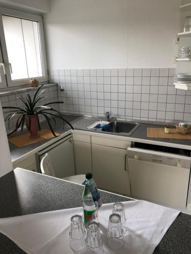 Kuchyň nebo kuchyňský kout v ubytování Hotel Falkenstein