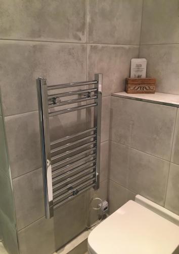 a bathroom with a toilet and a shower stall at Dalmore Lodge Guest House in Edinburgh