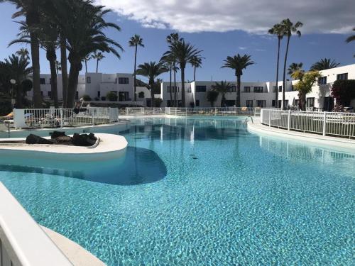 duży błękitny basen z palmami i budynkami w obiekcie The Ohana Beach Apartment w Corralejo