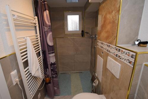 a small bathroom with a toilet and a shower at Apartment Terrotstraße in Stuttgart
