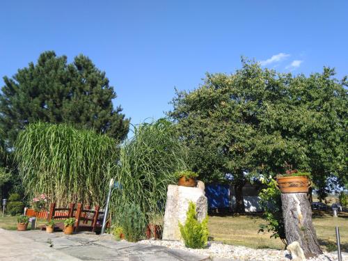 a group of plants in pots in a yard at Pension Family Club in Libišany
