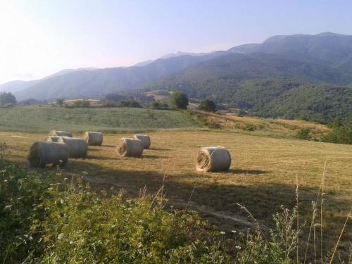 a group of hay bales in a field at Villaggio Barilari in Minucciano