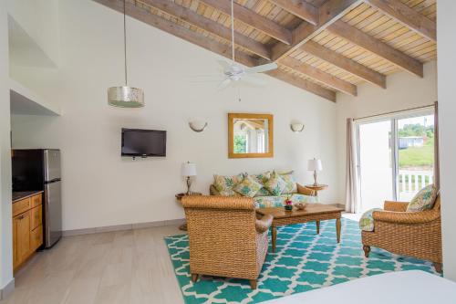 TV a/nebo společenská místnost v ubytování Mount Nevis Hotel