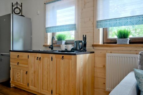 eine Küche mit einem Waschbecken und zwei Fenstern in der Unterkunft Domki Nad Potokiem in Murzasichle