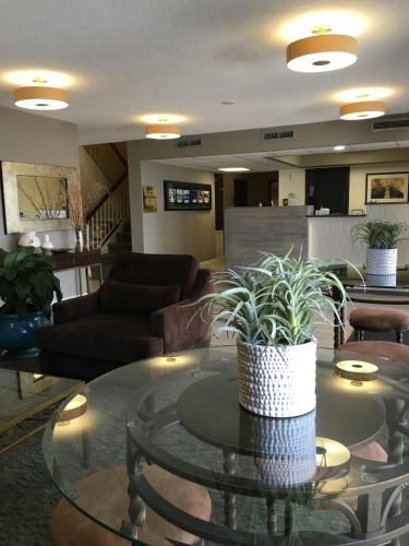 a living room with a table with a potted plant on it at Marina Inn & Suites Chalmette-New Orleans in Chalmette