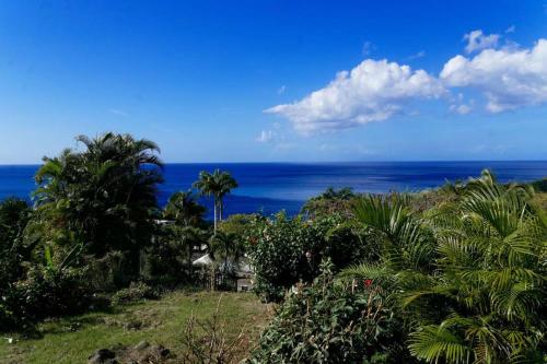 Afbeelding uit fotogalerij van karureve in Deshaies