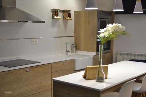 eine Küche mit einer Vase mit Blumen auf einer Theke in der Unterkunft El Vallín de Lan in Cerezales del Condado