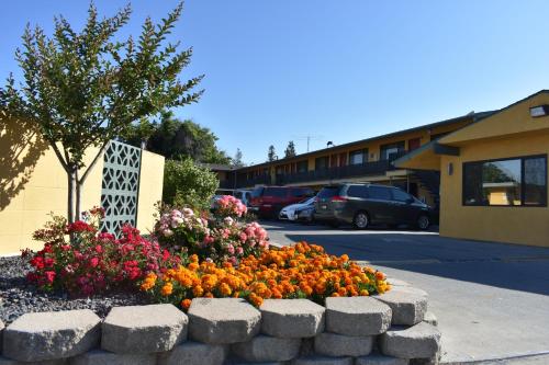 Apex Inn – Photos 2