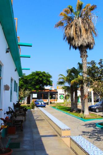 a palm tree next to a building with parked cars at La Casa de Algodon in Huacho