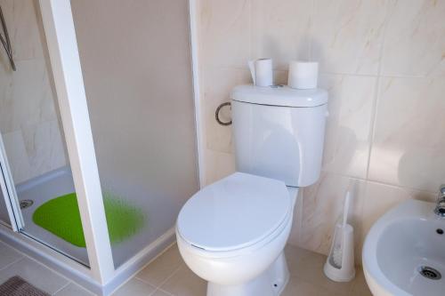a white bathroom with a toilet and a shower at Casa do Ferreiro II in Góis