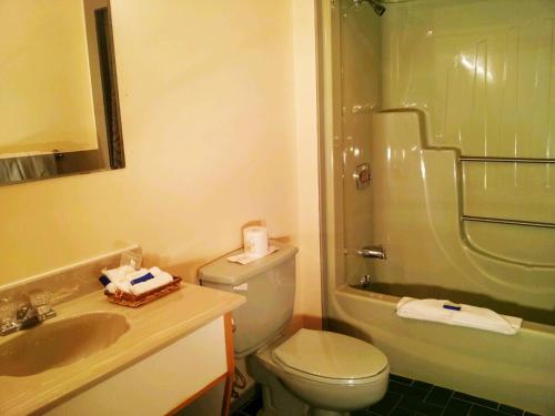 a bathroom with a toilet and a sink and a shower at Hotel Motel La Marquise in Sherbrooke