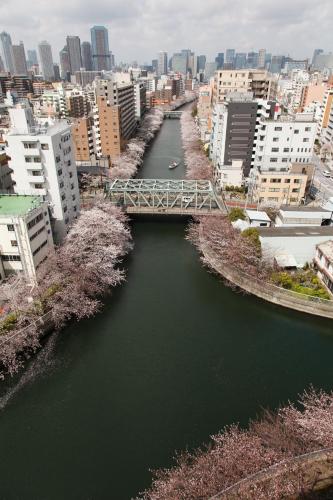 a bridge over a river in a city at Day Nice Hotel Tokyo in Tokyo